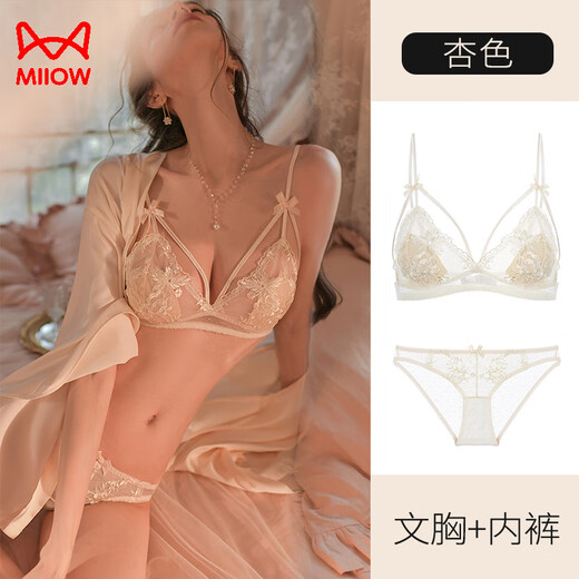 猫人性感内衣女大胸显小夏季薄款胸罩女士法式纯欲蕾丝无钢圈文胸套装 黑色(套装) M (34/75AB通杯)