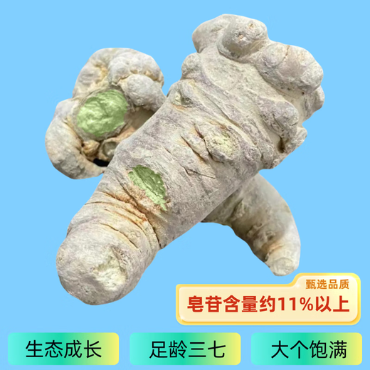 Peking tongrentang authentic yunnan gefriergetrockneter panax Notoginseng Yunnan Wenshan Spezialqualität Wild 500 g Feld 720 Köpfe 37 Pulver 20 Köpfe 9 Jahre gefriergetrocknet 500 g 25 Super groß