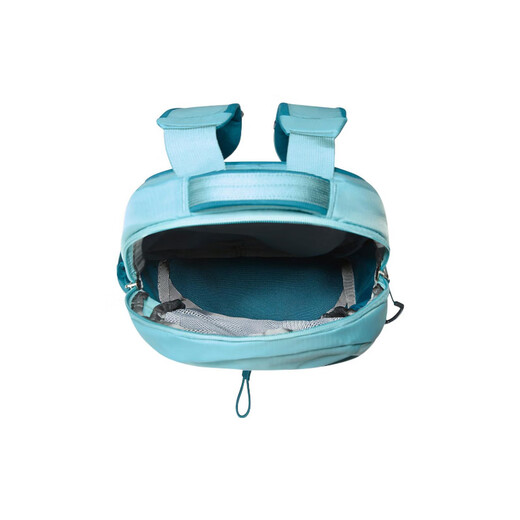 北面（The North Face）Borealis10L休闲运动Logo徽标可再生材质书包背包双肩包迷你男女 迷你