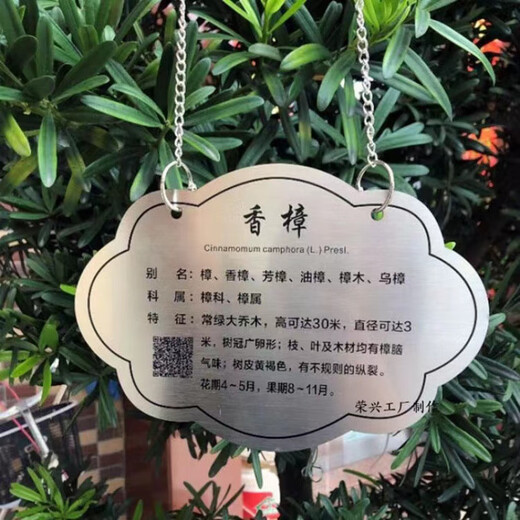 Tree tag, waterproof tree name tag, customized stainless steel tree sign, tree introduction, fruit tree hanging tag, customized product consultation customer service according to size and quantity