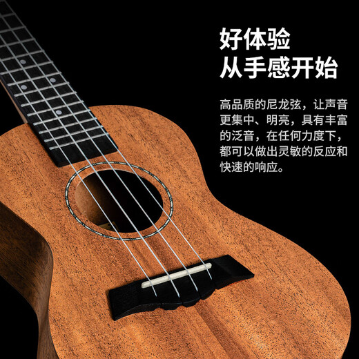 特伦斯（Terence）尤克里里23英寸儿童小吉他成人初学者入门级进阶级女生乌克丽丽男 原木色【旗舰版】单板桃花心 23英寸