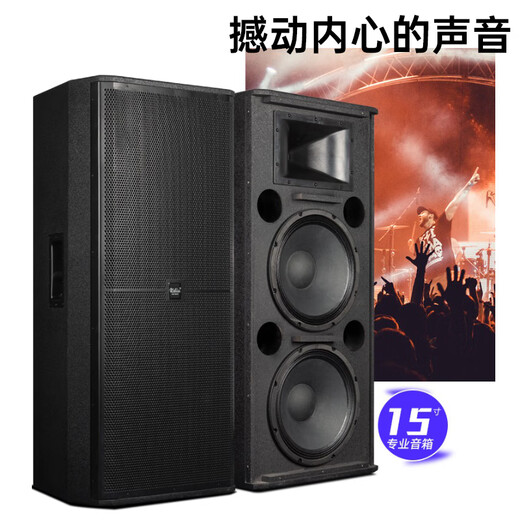 Ridiss SRX Professional Audio Set Single 15-inch Double 15-inch Stage Wedding Outdoor Conference Performance HiFi Passive Audio KTV Engineering Speaker Double 15-inch High-end Set 2#