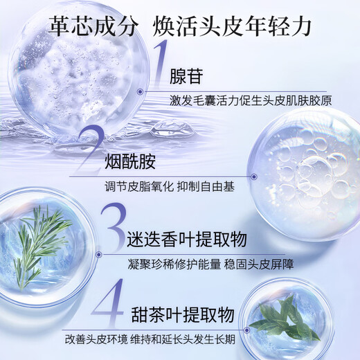 Shiseido Professional Hair Core Care Dao Chuang Core Technology Strong Root Healthy Hair Immortal Forest Scalp Vitality Series Shampoo 500ml