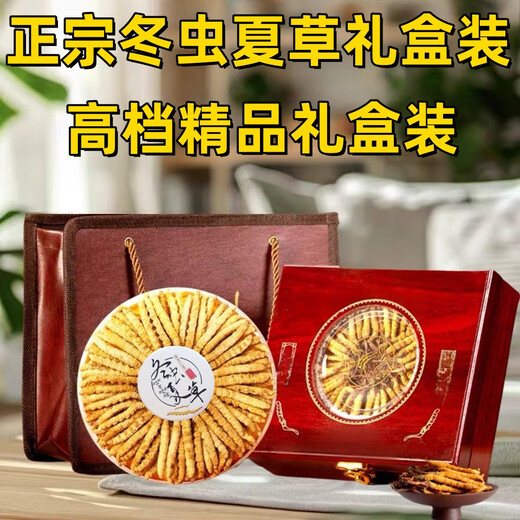 Coffret cadeau Cordyceps avec Cordyceps de haute qualité dans les zones tibétaines sur la livraison et les cadeaux le même jour. Le premier choix est les cordyceps enneigés authentiques à Nagqu, Tibet. 4 Cordyceps à haute altitude en 1 gramme 30 pièces