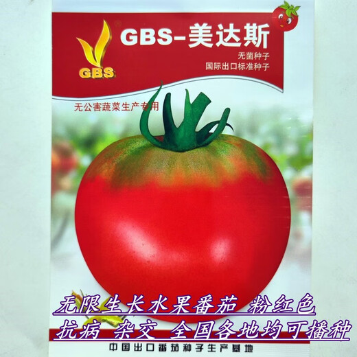 Zhongshu No. 4 unlimited growth tall round fruit tomato seeds tomato seeds disease-resistant medium-ripe vegetables GBS-Meidas 2000 capsules