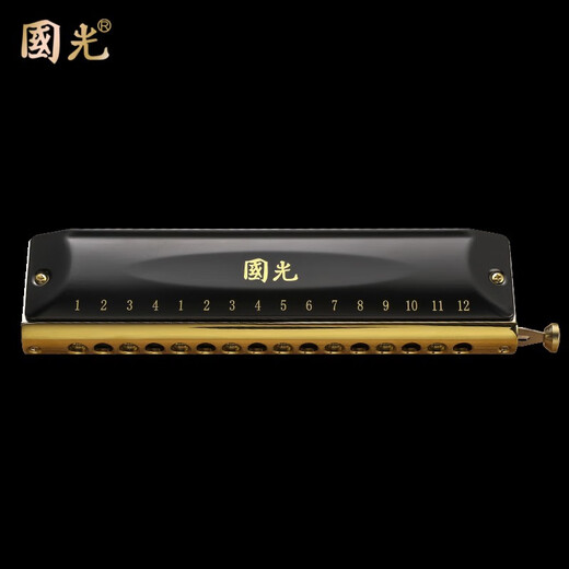 国光口琴演奏级国之梦半音阶12孔16孔儿童学生初学者 12孔48音圆吹口GG12A-1金色全套
