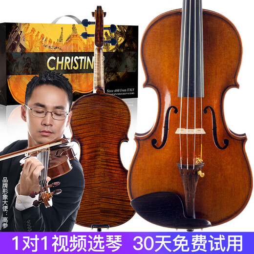 克莉丝蒂娜（Christina）进口欧料小提琴S200A考级进阶演奏云杉木枫木入门乐器4/4