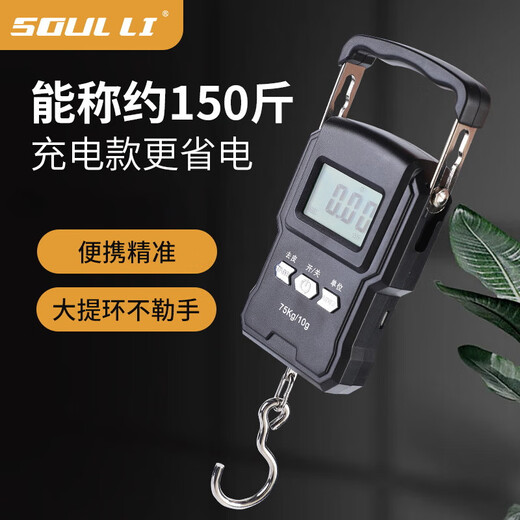 Báscula electrónica portátil de alta precisión, báscula exprés pequeña, gancho doméstico portátil, gancho comercial, báscula de pescado para equipaje de resorte, báscula electrónica portátil, modelo chino recargable de 50 kg Sin especificaciones