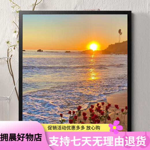 林谷家落日玫瑰数字油画diy花卉填色涂鸦手工手绘diy油彩画卧室装饰画 A H1048 30*40实木内框+丙烯颜料+画笔