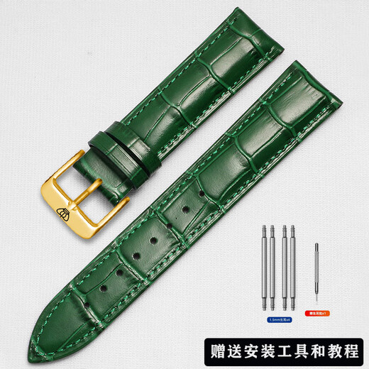 Véritable sangle de montre en cuir 3874/51154/5914/3886/5844 COUPLES HOMMES ET FEMMES BRACET BRANT BRAND VERT + GOLD BOUCLE BOUCLE STRAP INTERFACE Largeur 12 mm