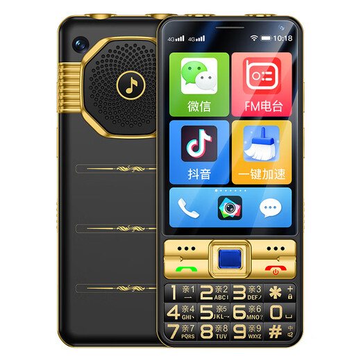 Gionee Seniors 3,5 pouces grand écran Android Smart Seniors Phone Mobile WeChat Douyin Video 4G Réseau complet Grand caractères Bouton de sauvegarde Fonction de sauvegarde Machine Black 8 Core + 64 Go [Version Smart WeChat]