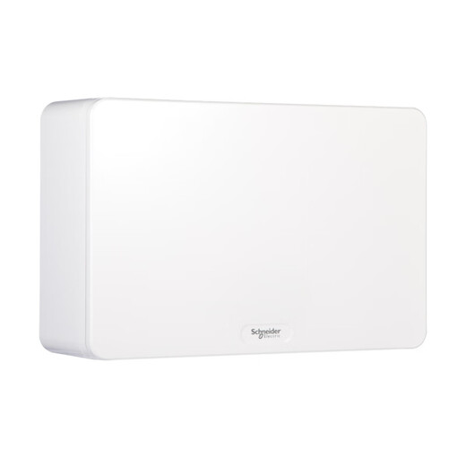 Schneider surface-mounted strong power box Tianlang series 36-circuit wiring box 20 white distribution box 24-bit 18TLM12B 24-bit electrical box (surface-mounted white door double row)
