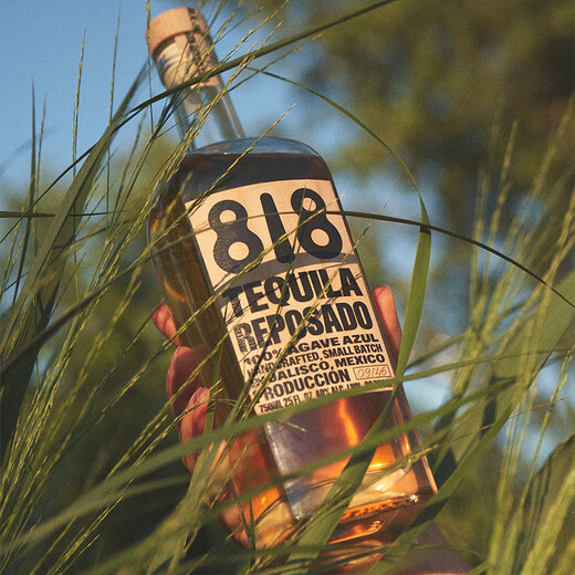 詹娜818金/银/陈酿龙舌兰酒TEQUILA肯达尔詹娜肯豆墨西哥进口洋酒 818金龙舌兰礼盒装