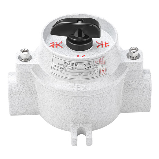 CHAXFB explosion-proof lighting switch SW-10 220V explosion-proof switch ExdeIICT6Gb regular style regular style 10A 220V