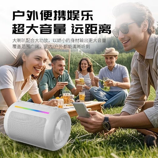 Voice of Berlin New Car Smart Bluetooth Speaker Super Subwoofer Large Volume High Quality 818 Black Intelligent Voice Control-RGB Cool Light Immersive Listening Enjoyment