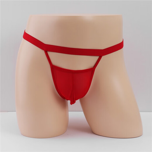 Men's Sexy Special Underwear Sheer Transparent Men's Double Butt Underwear Raise Buttocks and Reveal Buttocks and Sexy T-string Underwear for Men Purple One Size