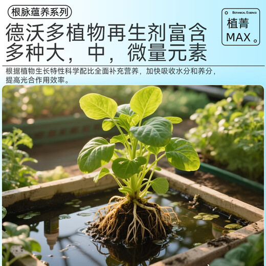 Dewoduo plant regenerator nutrient solution universal 12-pack hydroponic flower fertilizer green radish green plant rooting liquid