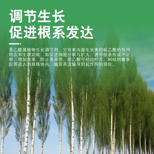 Guoguangshenghe 20% naphthalene acetic acid succulent rose seedlings, fruit trees, plants, growth, cuttings, transplanting and rooting powder 5g