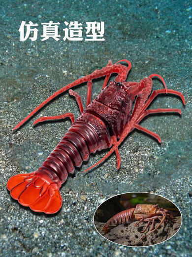 遥控小龙虾螳螂仿真电子宠物动物儿童趣味会动的玩具男孩女孩 经典版-遥控瓢虫红色款9922+螺丝 升级版另赠24粒电子