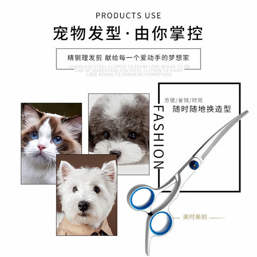 Ruoyu pet shearing scissors professional-grade set for dog hair clipping, dog hair grooming, full set of cat hair scissors, seven-piece set, blue screws and blue finger ring, including four scissors + comb + cloth + storage bag
