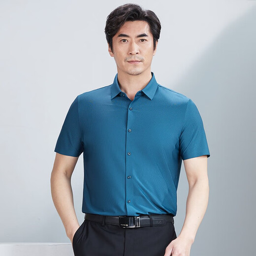 红都夏季新款短袖衬衫男薄款条纹锦纶面料中年男士爸爸装半袖衬衫 邦芷青tm6630-1 均码 170/88A
