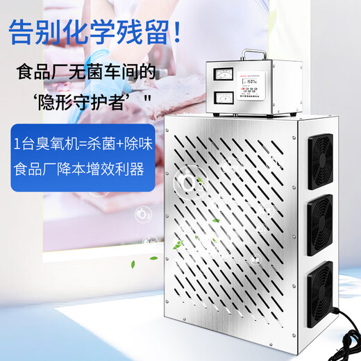 Fenrui built-in central air conditioning ozone sterilizer food factory workshop warehouse air purification ozone generator split built-in ozone sterilizer Delixi intelligent time control 70g