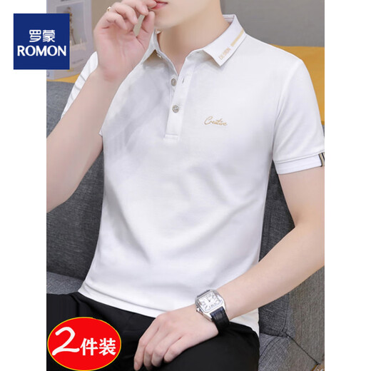 罗蒙（ROMON）短袖t恤男士2025新款夏季珠地棉polo衫潮流白色上衣男装翻领半袖 683烟灰色 XL (适合：135-145斤)
