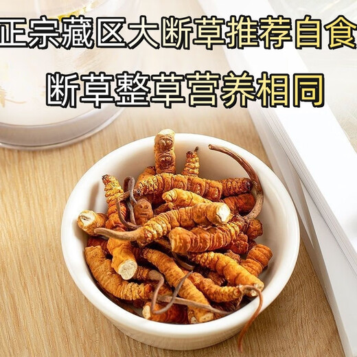 冬虫夏草断草断虫草高海拔虫草断草正宗冬虫夏草滋补品泡酒料药材 西藏那曲大断草100克装送12克