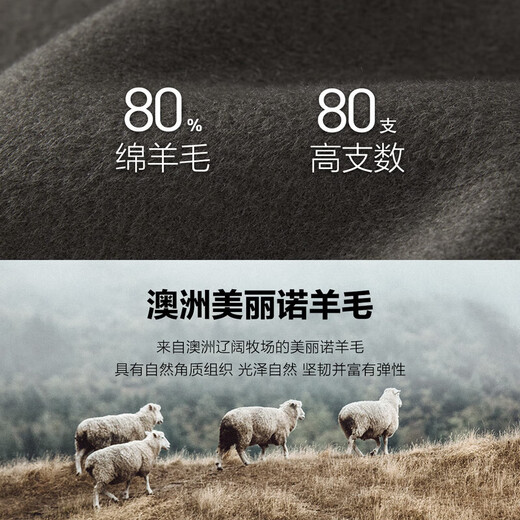 PEACEBIRD Men's Suit Collar Sheep Wool Coat Winter Mid-Length Wool Coat Brown (Fit) XL