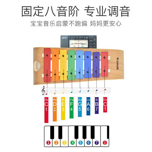 Bayin Zithering Piano Kids 'Knocking Xylophone Children's Toy's Orff Percussion Instruments adaptés à 3 ans et plus de 8 tons de piano Fisher