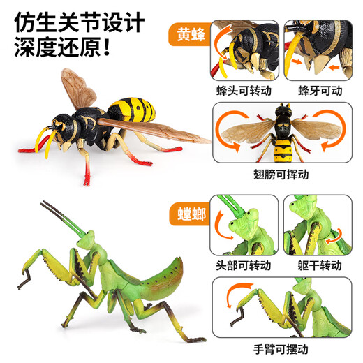 纽奇动物模型玩具diy拼插立体拼图儿童早教益智中阶认知生日礼物盒