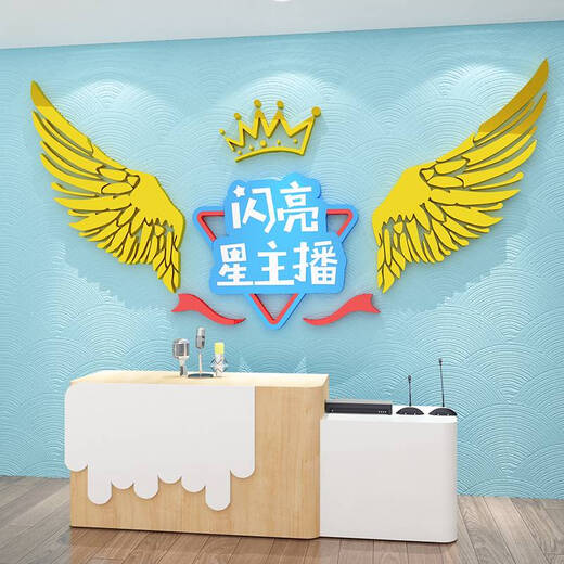 少儿口才教室布置装饰播音乐小主持舞蹈台背景环创表演幼儿园墙面 15865闪亮星主播-白色+粉色字 超小