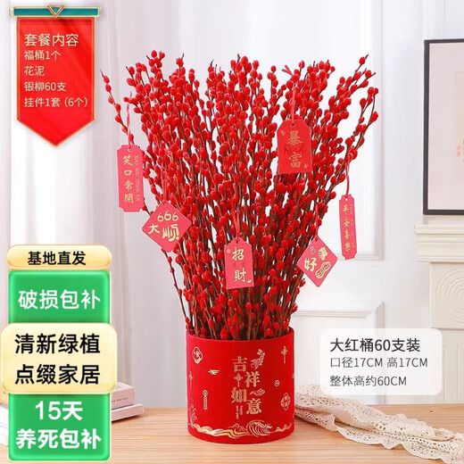 Fortune Bucket Silver Willow Red Dried Flowers Real Flowers Fresh Branches Cold-resistant New Year's Eve Flowers Hydroponic Flowers Indoor Living Room Decorative Flowers Silver Willow 60 High 60 Count + Auspicious Ruyi Fortune Bucket B Set