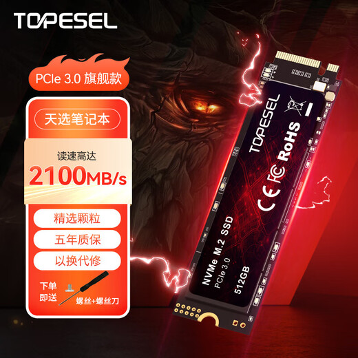TOPESEL convient au disque SSD m.2 (protocole nvme) PCle 3.0 de particule du fleuve Yangtze intégré 512G PCIe3.0 modèle économique