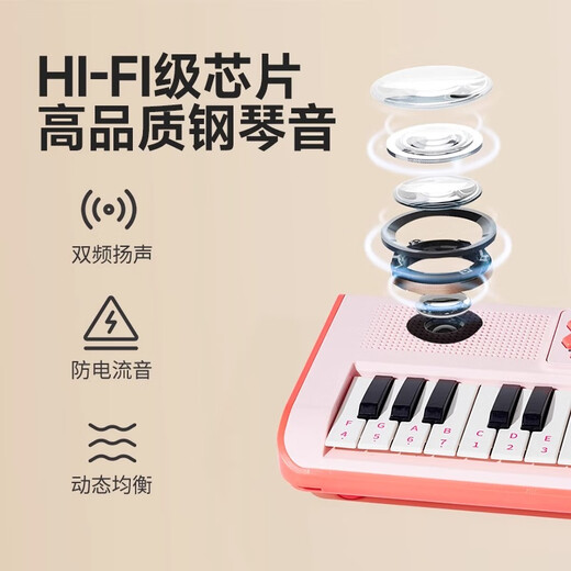 乐乐鱼（leleyu）37键电子琴儿童玩具乐器初学者早教带话筒小钢琴男女孩生日礼物
