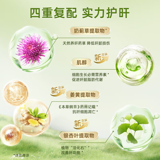 GNC Jian'anxi Vierfache Kurkuma-Milch Thistle konzentrierte Milch Thistle Essence Tabletten Kurkuma Ginkgo bleiben spät auf, um die Leber zu schützen und die Leber zu nutzen und überstunden Tabak und Alkohol zu arbeiten. Vierfache Milch Thistle Essence 120 Tabletten * 2 Flaschen