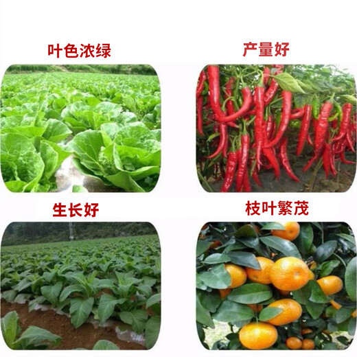 Jiangshan Ruhua Potassium Dihydrogen Phosphate Foliar Fertilizer Water-soluble Fertilizer Fertilizer for Fruit Trees, Vegetables, Field Flowers, Phosphate Fertilizer Potassium Fertilizer High Content Potassium Dihydrogen Phosphate 1 bag (50g)