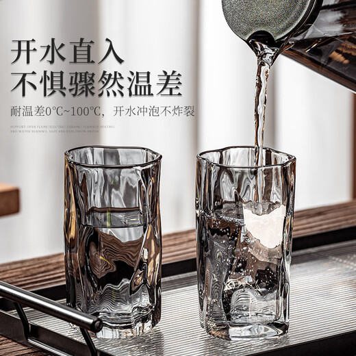 DIKTT German twist glass water cup set for home living room to entertain guests, high-looking tea set and juice cup 275ml ash cup x6 + ash straight pot 1300ml