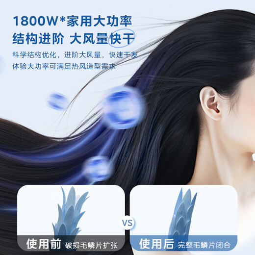 Midea 80 Million Blue Light Negative Ion Protection Hair Dryer Foldable Portable Hair Dryer High Power Hair Dryer FZ101 (LN) 1800W Holiday/Birthday Gift Recommendation