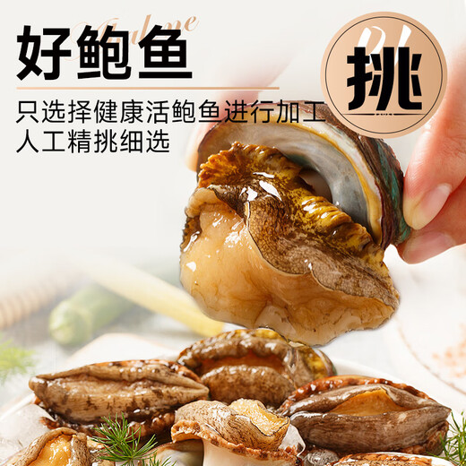 Linglue fresh frozen large abalone, net weight 800g, 16 pieces box, abalone hot pot barbecue, shellfish and seafood, fresh