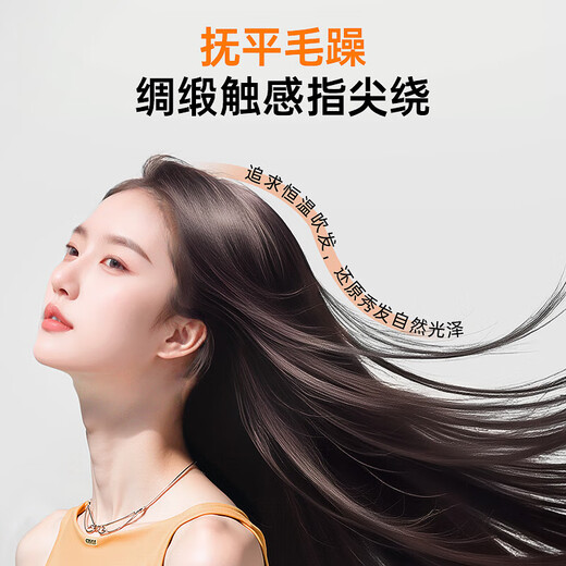 苏泊尔（SUPOR）电吹风5亿负离子护发可折叠便携吹风机过热保护 家用宿舍速干风筒生日节日礼物 米灰色EHDL-F844C