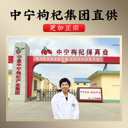 丰凯园实业宁夏中宁大果枸杞特优级原产地直发无硫磺熏无染色泡茶【顺丰送货 政府授权中宁枸杞【250g*2罐】