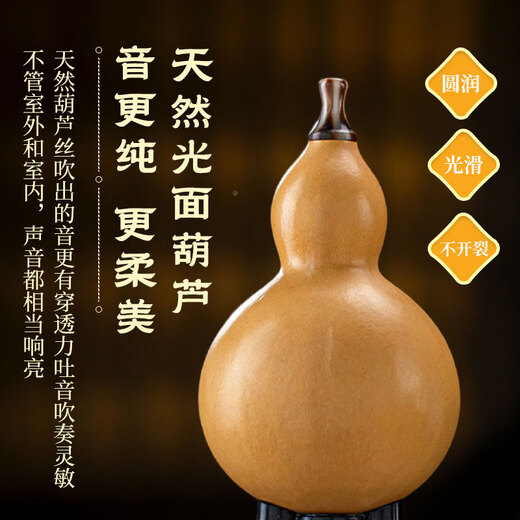 Golden Peacock Ebony Hound Silk C-Tune Élève d'écoles primaires spéciaux Adultes Adultes B-Tune B-Tune Performance Performance Store Musical Instruments de musique [Glossy Hound Ebony Tube] D-Tune + Giveaway