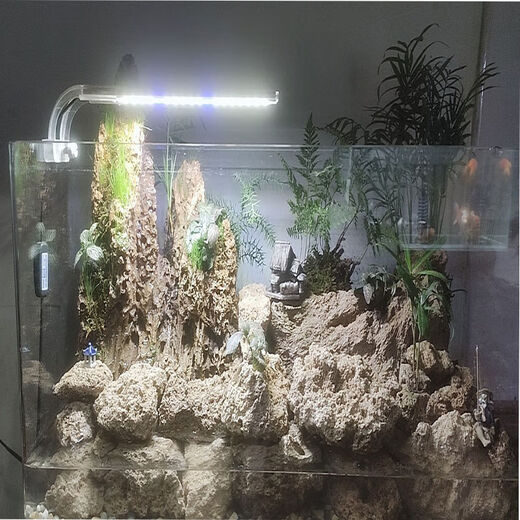 Absorbent stone raw stone, water stone, natural rockery, bonsai, rockery stone, landscaping stone, micro landscape ornaments, stone absorbent stone, raw stone 25-30CM 20Jin Jin equals 0.5 kg