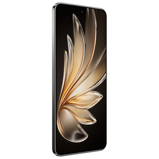 vivo X200s 16GB+512GB 天玑9400+ 店内选购】超薄5G手机S20全网通高通骁龙6500mAh长续航90W闪充 【松烟墨】12GB+512GB 官方标配【不分期】