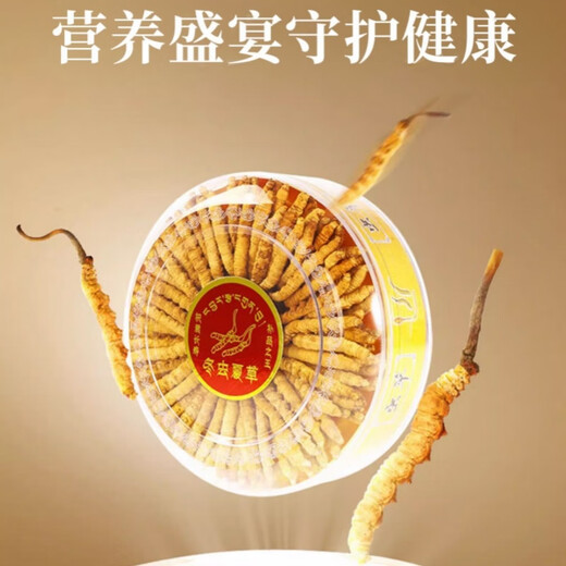 Cordyceps sinensis productos secos auténticos cordyceps sinensis caja de regalo Cordyceps sinensis wang xiong fengdao nutriente y salud Cordyceps sinensis tres gramos 50 raíces [caja]