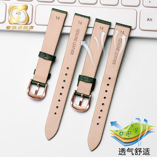 适用阿玛尼手表带AR1726 AR11149 AR11150男女表链墨绿色14mm配件 绿色-银色扣 14mm