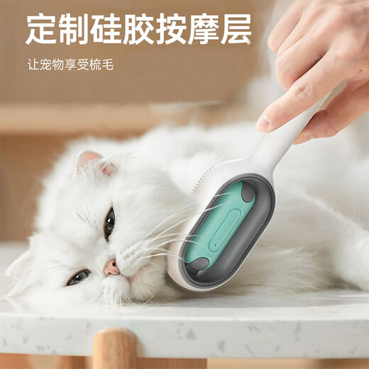 Crazy owner’s water-injected cleaning and hair removal comb. The water-injected cleaning comb can add no-rinse essence. Dog and cat comb with blue long hair.