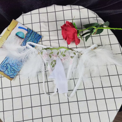 Open crotch lace men's pure desire sexy modified JJ set underwear feather decoration embroidered breathable open file thong white JJ set open style 100-140Jin Jin equals 0.5 kg