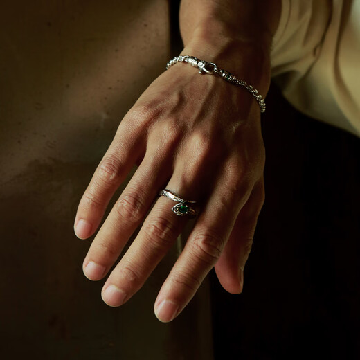 IDEAGEMERS 925 silver emerald snake ring for men and women, high-end niche fashion ring for couples, single layer emerald snake ring, No. 20